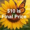 jensfinds4u